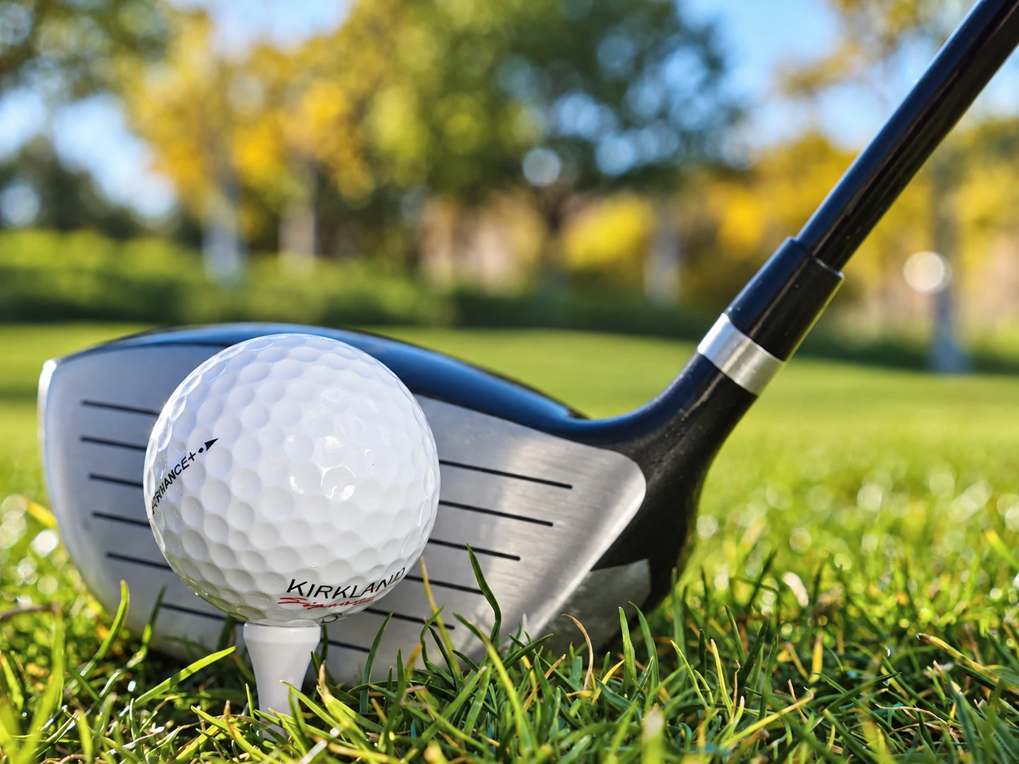 Golf club and ball