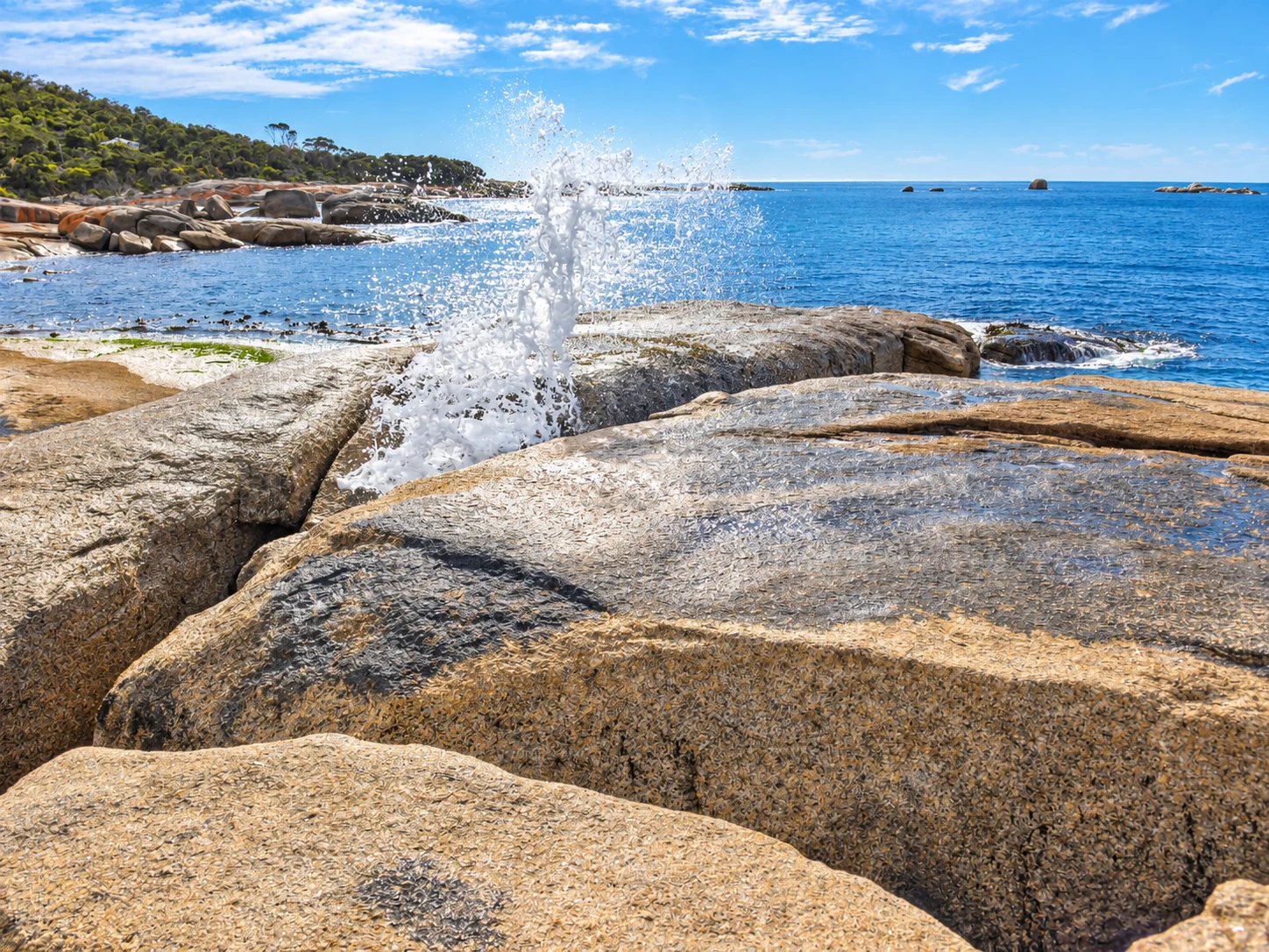Bicheno Blowhole
